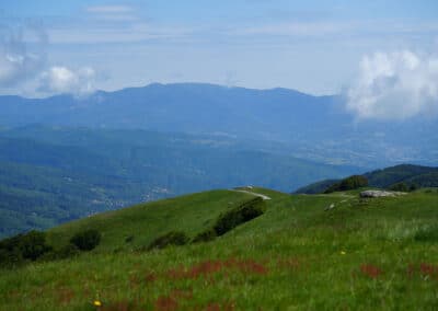 valdarno e pratomagno