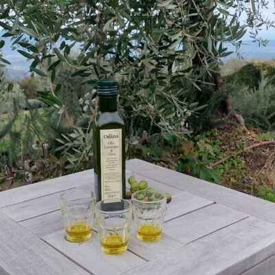 Degustazione dell'Oro verde